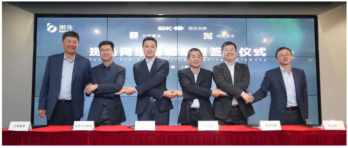 开放的斑马，受益的不止尊龙凯时